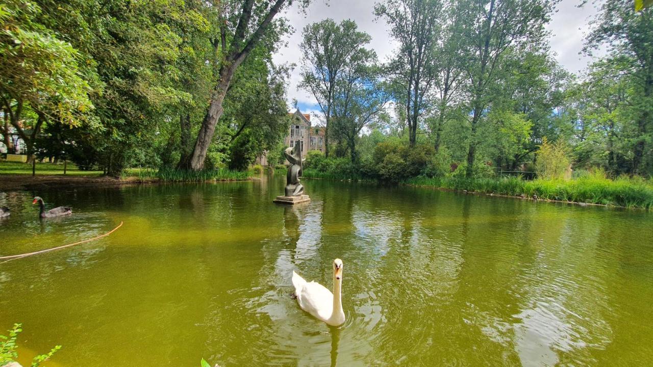 Caldas Da Rainha'S Green & White Buitenkant foto
