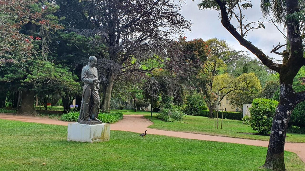 Caldas Da Rainha'S Green & White Buitenkant foto
